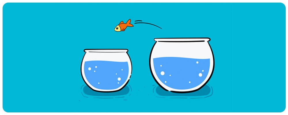 big fish, small pond formula for client avatar development
